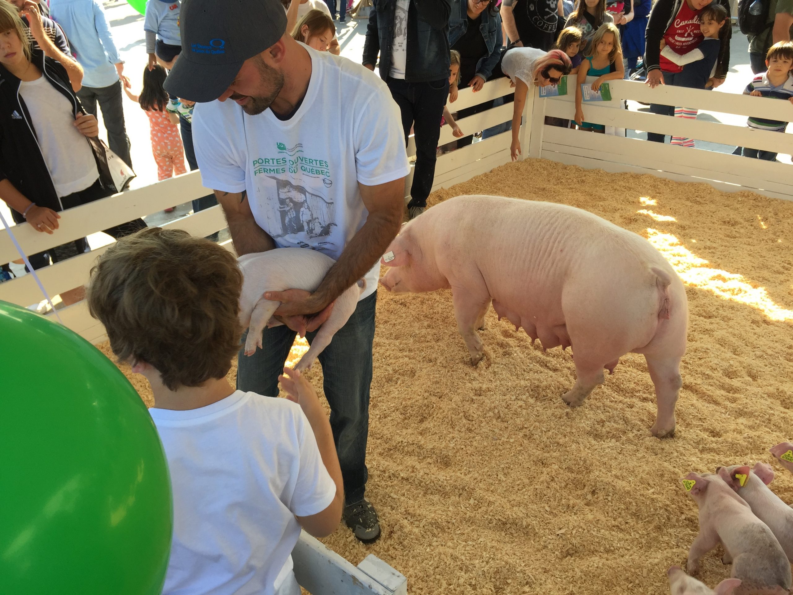 Le porc aux Portes ouvertes de l'UPA