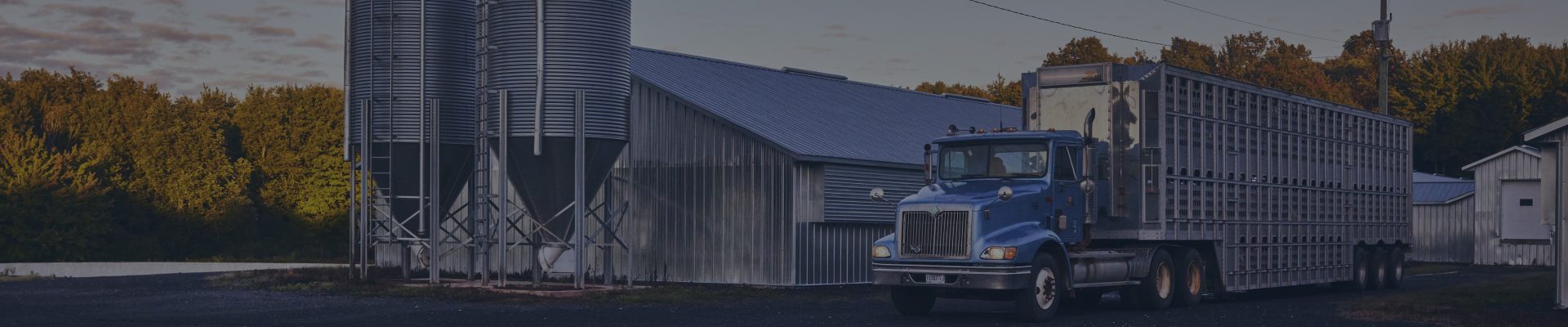 camion de transport de porcs devant un bâtiment agricole